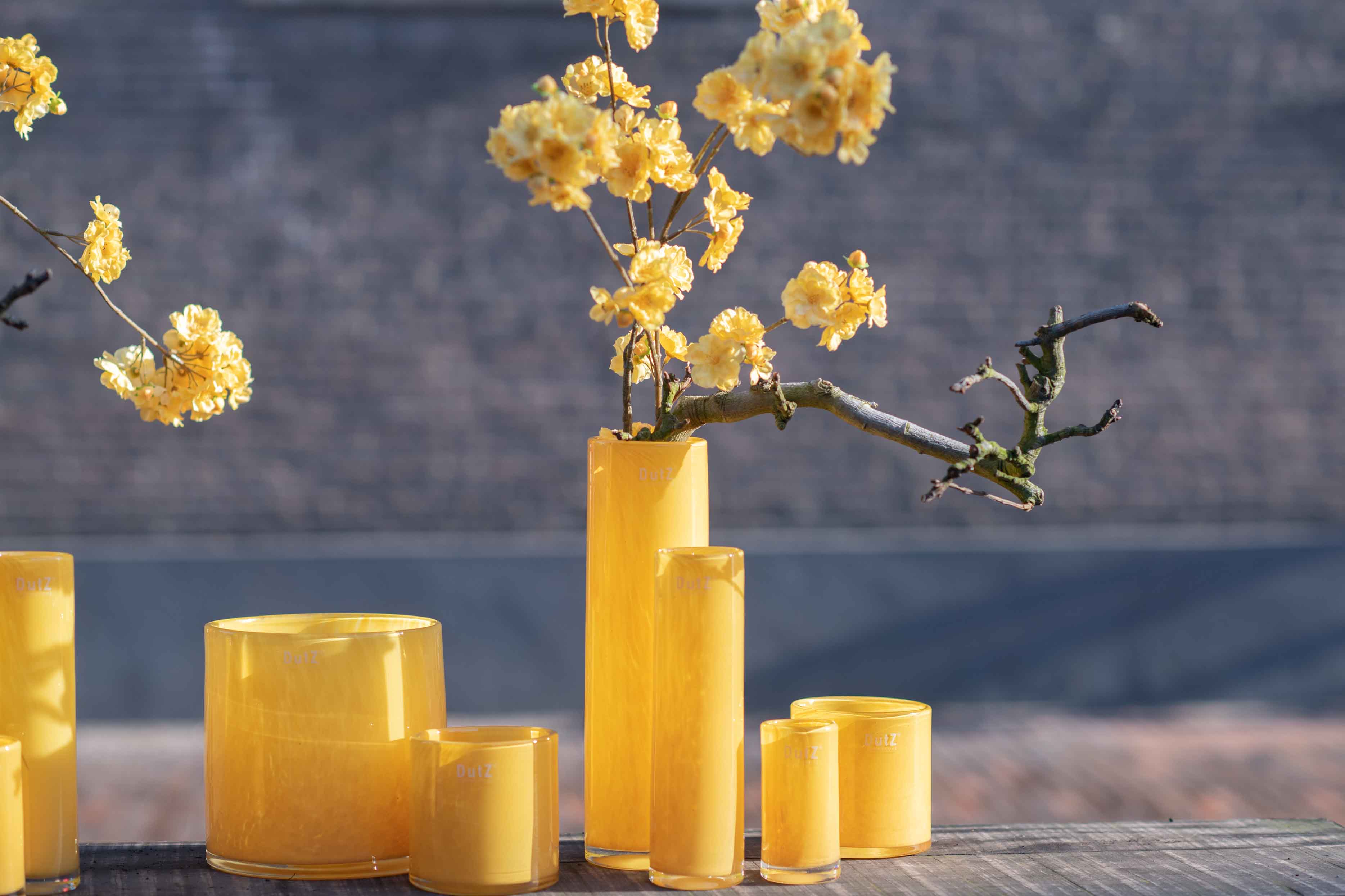 Cylinder corn yellow