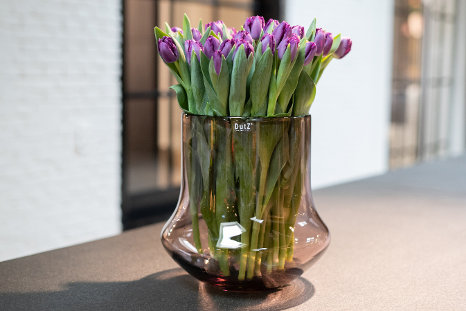 Vase Bara aubergine transparent