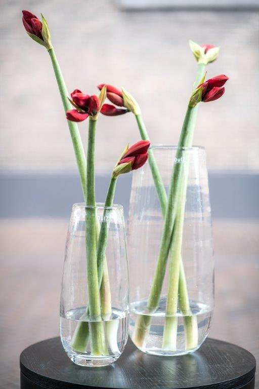 Vase Robert clear